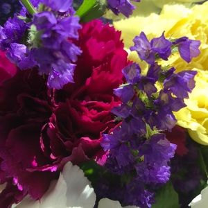 Meet your Posher, Gianna